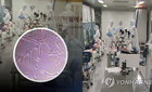 국가 줄기세포은행, 임상용 원료 공급…연구비 최대 150억·1년 절감 효과