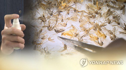 말라리아 환자 25% 감소 '착시'…6~7월 정점 '폭증' 경고, 수도권 비상
