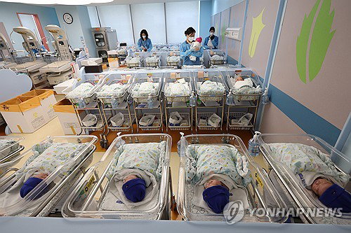 강릉시, 인구 절벽 속 '반전의 숫자'...출생아·혼인 급증 배경은?