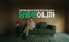 김명민, 뉴케어 당플랜으로 혈당 시장 재편