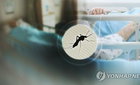 '빨간집모기' 도시 위협… 일본뇌염 경보 한 달 반 '비상'
