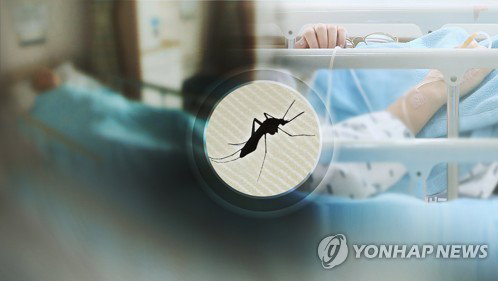 '빨간집모기' 도시 위협… 일본뇌염 경보 한 달 반 '비상'