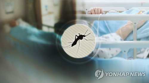 '빨간집모기' 도시 위협… 일본뇌염 경보 한 달 반 '비상'