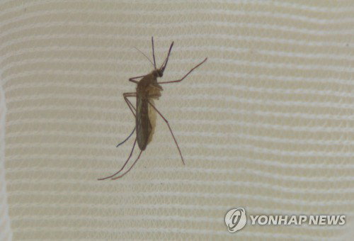 대구發 바이러스…울주군, 일본뇌염 경보 속 ‘뇌염’ 경계령