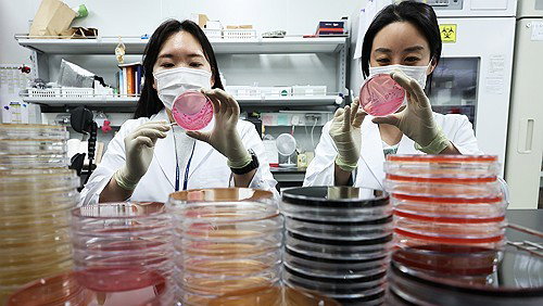 세균성 장염 환자 30% 폭증, 1인당 진료비 130만원 육박...보건 비상