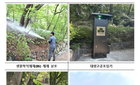 서울시, 러브버그 방제 '물방울 드론' 출격…친환경 방제 新시대 열다
