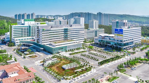 50km ‘뺑뺑이’ 고위험 산모, 건양대병원서 극적 분만… 의료 공백 경종