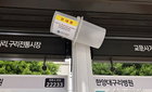구리시, 러브버그 민원 급증 속 '친환경 신속 방역' 전환