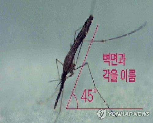 강화군 말라리아 '빨간불', 3년 새 확진 3배 폭증... 고위험군 경고