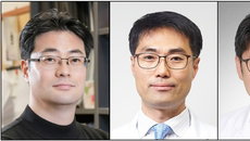 제15회 광동 암학술상, 암 치료 새 지평 연 5인의 연구 조명