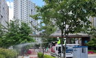 송파구, 러브버그 사체 '알레르기 독성' 간파…BTI 친환경 방제 전환 시동