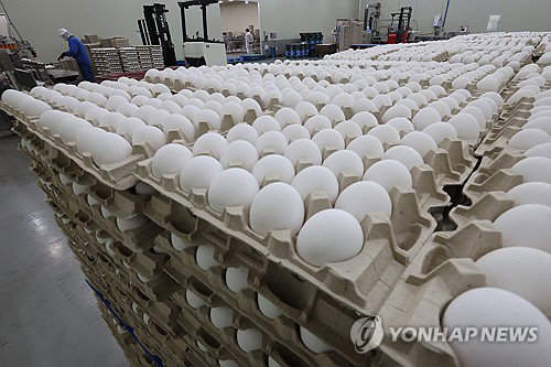 “자가 품질검사 외면” 알 가공품 7곳 적발…여름 계란 안전 '빨간불'