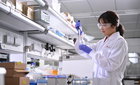 LG화학, 'TP53 변이' 고형암 美 FDA 임상 1/2상 진입