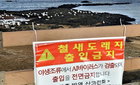 조류독감 인체감염 비상…범부처 AI 대책위, 변이 대응 강화