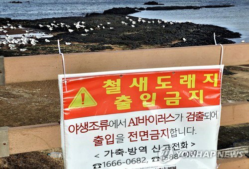 조류독감 인체감염 비상…범부처 AI 대책위, 변이 대응 강화
