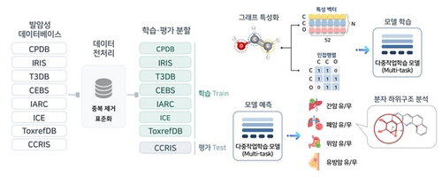 “동물실험 종말 예고” AI, 4개 장기 '암 유발' 동시 예측