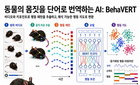 KAIST, '비헤이버트' AI로 동물 몸짓 해독…신약 개발 혁명