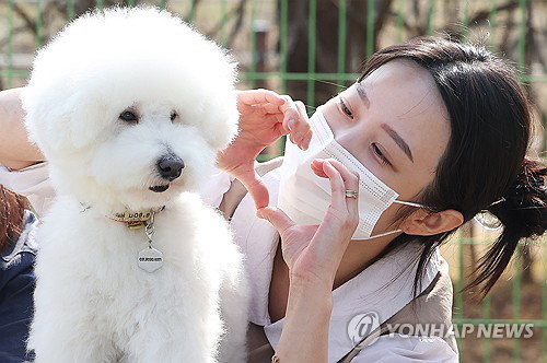 경기, 광역 최초 '공공동물병원' 설립 추진…반려가족 의료비 해소될까