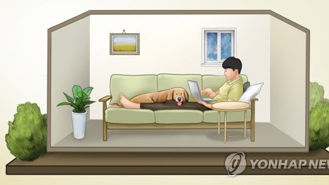 800만 1인 가구, 조기 사망 43%↑…건강 위험 심각