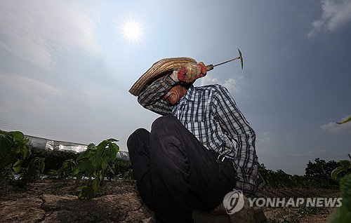 체감 33.4도 습한 폭염, 60대 열사병… 고령층 경고