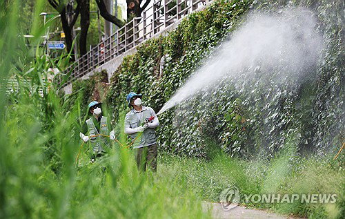 충남 일본뇌염 모기, 두 달 앞당겨 출현…주의보