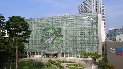 중구 길거리 음식 20곳 '全 적합' 판정… 공중 보건 새 기준 제시