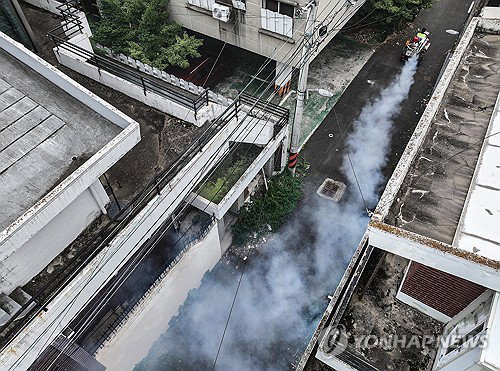 창원 '벌레떼 지옥' 몸살, 8개 지역 대규모 방역…보건 비상등