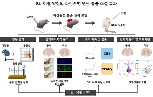 파킨슨병 고질 통증, 한의 약침으로 '2배' 완화 새 희망