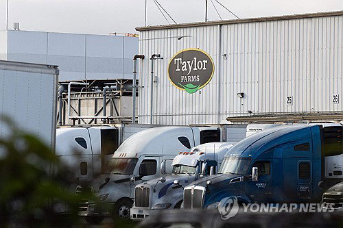 미국 강타 7천 명 기생충 비상… 테일러팜스 '양상추 재앙' 반복되나