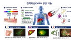 4배 오래가는 형광염료 'KR-NIR-P' 개발…암 수술 정밀도 혁신