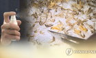 「모기팔찌는 공산품」 소아 감염병 수칙, 여름 휴가철 생존 필수 지침