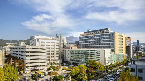 '오전 7시 극적 합의' 전남대병원, 총파업 철회로 의료 대란 피했다