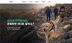 은퇴 국가봉사견 70%, 의료 사각지대 '방치'…입법청원 집중