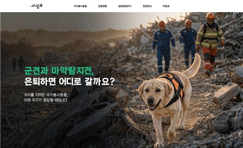 은퇴 국가봉사견 70%, 의료 사각지대 '방치'…입법청원 집중