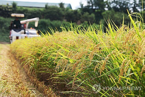 충남 농업 '7말 8초' 폭염 사망 55.6%