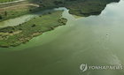 충남도, 금강 '녹조 비상' 조류경보제 가동… 도민 건강 선제 수호