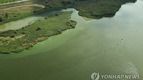 충남도, 금강 '녹조 비상' 조류경보제 가동… 도민 건강 선제 수호