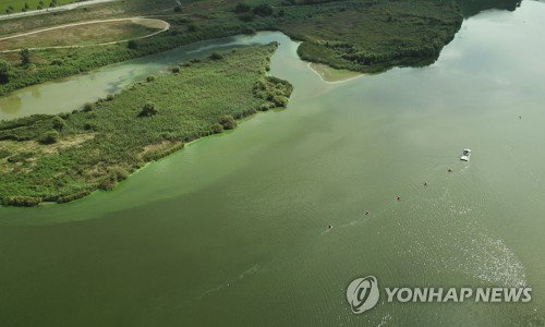 충남도, 금강 '녹조 비상' 조류경보제 가동… 도민 건강 선제 수호