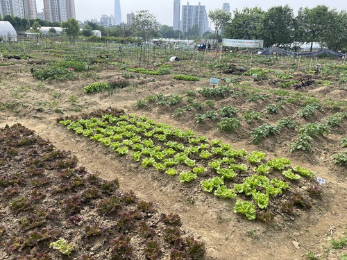 송파구, 여성농업인 특수검진 90% 파격 지원…'농업 현장' 건강 형평성 높인다