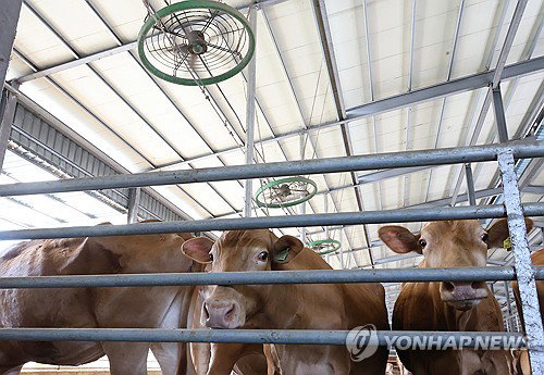 맹폭염 한 달, 온열질환 1399명·사망 8명…의료계 경고