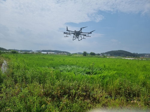 안산시, 875㏊ 벼농지 첨단 방제…고품질 쌀 생산 박차