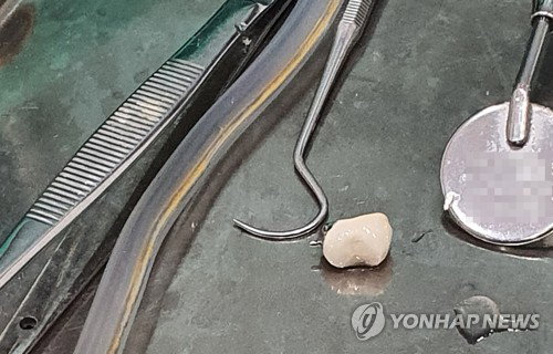 '환자 직접 모집' 치대 임상실습, 미래 의료 윤리 흔든다