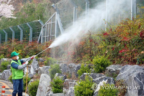 서울로7017 바퀴벌레떼 도시 습격, 질병 매개 '초비상'