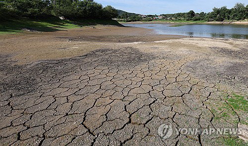 열사병 환자 5년새 3배 폭증, 고령층 '땀 없는 피부' 사망 부른다