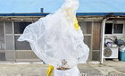 전남광주 벌 쏘임 '초비상', 한 달 새 5.6배↑…말벌의 치명적 위협