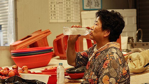 양산 '42.5도' 폭염, '오아시스'로 온열질환 총력 대응