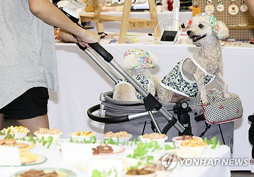 5천건 수술 노하우, AI 탑재…펫 건강관리 '정밀화' 가속