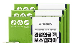 2026년 관절 연골 영양제, 가성비 TOP 추천 구매 가이드