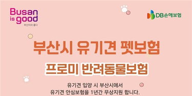 부산시, 유기견 입양 펫보험 70% 지원…의료비 부담 경감 ‘신호탄’
