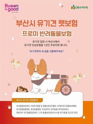 부산시, 유기견 입양 펫보험 70% 지원…의료비 부담 경감 ‘신호탄’
